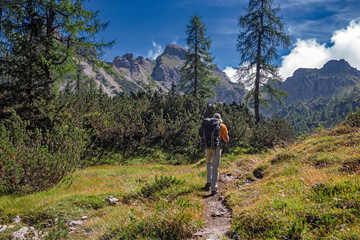 Wall Mural - a hiker walks along a path in the friulian dolomites, in italy