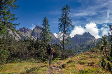 Wall Mural - a hiker walks along a path in the friulian dolomites, in italy