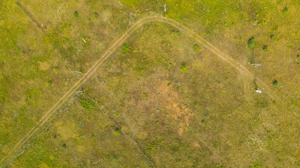 Aerial top down view from drone of meadow surface at summer day in the countryside. Natural foliage background.