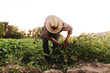 © Manu Reyes - Young farmer man with hat working in his field