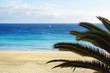 Traumstrand | Fuerteventura | Kanaren