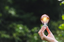 Hand Of Person Holding Light Bulb On The Nature Background For Solar,energy,idea Concept.