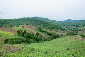 beautiful landscape in the north of thailand