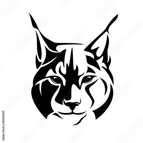 Fotografía wild lynx looking straight forward - bobcat en face head black and white vector