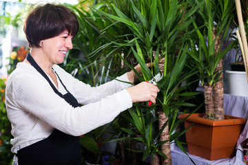 Happy shop assistant displaying yucca palms