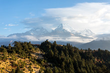 View Of Annapurna Mountain Range From Poon Hill (3210 M) On Sunrise. It's The Famous View Point In Gorepani Village In Annapurna Conservation Area, Nepal.