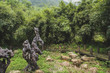 © Mark Zhu - Landscape at Mingyue Mountain, Jiangxi, China