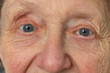 Portrait of a senior caucasian woman eyes themes of retirement senior aging process portrait