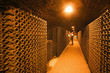 Wine taster in a wine cellar