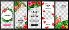 Stories, News Or New Post Vector Template For Social Network. Story Background With Tropical Palm Leaves And Flamingo.