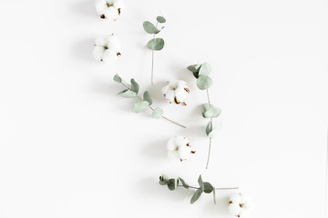 Wall Mural - flowers creative composition. cotton flowers, eucalyptus branches and leaves on white background. fl