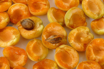 Wall Mural - pitted apricots, dried in the sun in trays, apricot drying on the balcony,