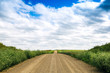 © Ursula Page - a long dirt road in rural North Dakota with a bright blue sky with clouds in the horizon
