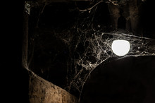 Big Spider Web In Dark Farm House And Light Bulb, Close Up