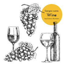 Set Of Wine Illustrations. Sketch Bottle And Glass Of Wine. Hand Drawn Illustration Of A Vessel For Wine, Bunch Of Grapes
