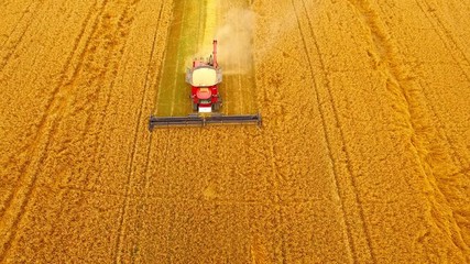 Wall Mural - Aerial view of combine harvester. Harvest of wheat field. Industrial footage on agricultural theme. Agriculture in European Union from above.