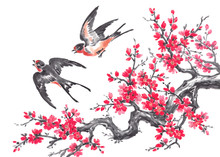 Watercolor And Ink Painting, Oriental Style, Swallows And Cherry Blooming.