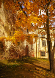 Fototapeta  - Ancient castle with autumn trees