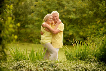 Portrait of beautiful senior couple embracing and posing in the summer park