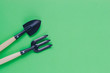 © Elena - Gardening tools on a green background