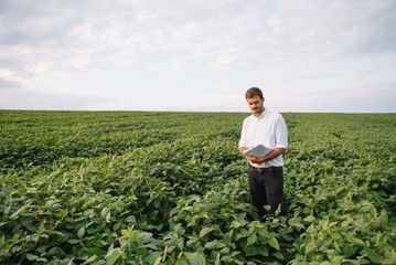 Portrait of young farmer standing in soybean field.