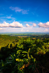 Canvas Print - Mountain view when viewed from the Doi Tung view point