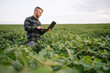 © Serhii - Young agronomist holds tablet touch pad computer in the soy field and examining crops before harvesting. Agribusiness concept. agricultural engineer standing in a soy field with a tablet in summer