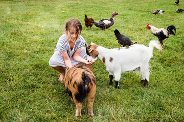 Canvas Print - beautiful girl on holiday at the farm giving food to animals