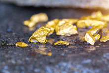 Gold On The Stone Floor Discovering Success And Investing Concepts With Business Partners.