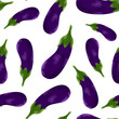 Eggplant background illustrations in digital painting or hand draw cartoon style. Concept healthy food,Organic Farm.