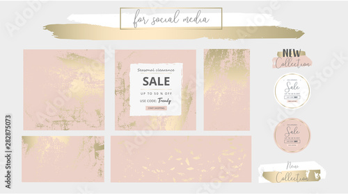 Cuadros en Lienzo Elegant social media trendy chic gold pink blush banner templates