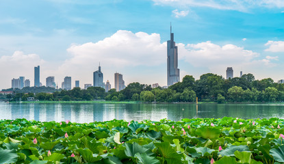 Wall Mural - Xuanwu Lake and Skyline of Urban Architecture in Nanjing..