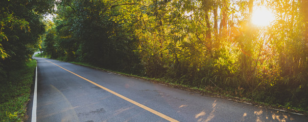 Beautiful road in the forest with sunset light