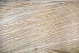 Fototapeta Konie - Wooden textured background. Cross-sectional view of a log cut end wooden textured.