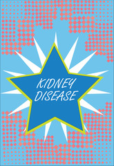 Word writing text Kidney Disease. Business concept for Kidneys can no longer perform its functions to full capacity.