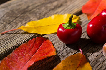 Canvas Print - autumn fruits and vegetables on weathered wooden table background