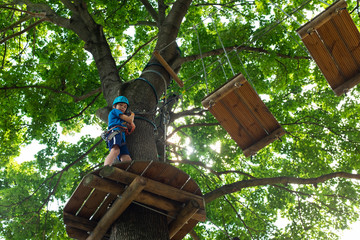 Young boy climbing rope trail in an adventure park on top of a tree with vivid green foliage