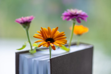 Wall Mural - bouquet of flowers in the book