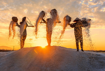 Woman workers pouring freshly harvested salt from baskets to the salt pile at sunrise in Hon Khoi salt field, Nha Trang Province, Vietnam