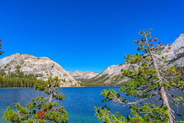 Wall Mural - Tenaya Lake at Yosemite National Park