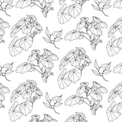 Wall Mural - Hand drawn geranium branches with leaves seamless pattern. Outline wild plants painted by ink. Vector modern botanical endless background