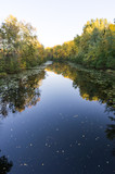 Fototapeta Łazienka - Narrow river channel. River canal in the fall.