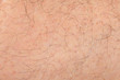 Abstract background of male adult human skin with hair