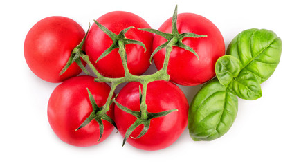 Poster - Branch of ripe tomatoes and basil bush