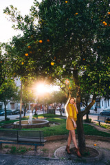 Wall Mural - girl in stylish clothes hugging a trunk of orange tree. park. sm