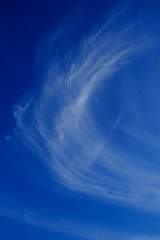 Bright white cirrus cloud in light blue sky, vertical frame.