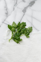 Bunch of parsley cilantro on marble background, white napkin, copy space fresh herbs