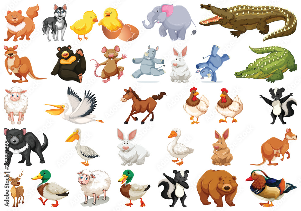Diverse set of isolated animals on white Stock Vector | Adobe Stock