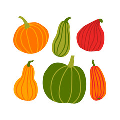 Wall Mural - Hand draw Pumpkin Set in simple Doodle Style. Vector illustration colorful Pumpkins of different shapes and sizes isolated on white Background. Template for Halloween, Thanksgiving, Harvest
