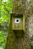 Fototapeta Miasto - Artificial nest box in the Lydford Gorge Reserve